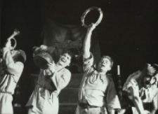 Fatalia błazeńska (fot. 3) [Dokument ikonograficzny]