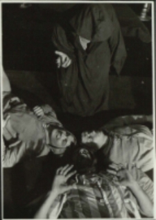 Fatalia błazeńska (fot. 6) [Dokument ikonograficzny]