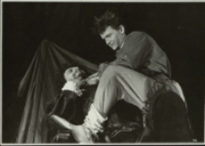 Fatalia błazeńska (fot. 14) [Dokument ikonograficzny]