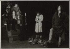 Fatalia błazeńska (fot. 15) [Dokument ikonograficzny]