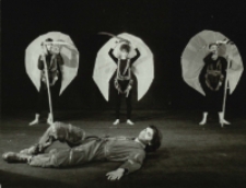 Romans Róży (fot. 3) [Dokument ikonograficzny]