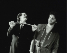 Romans Róży (fot. 4) [Dokument ikonograficzny]