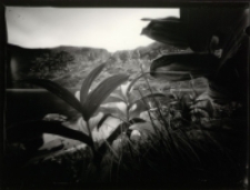 Karkonosze [Dokument ikonograficzny]