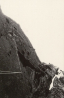 Bez tytułu [Dokument ikonograficzny]