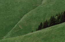 Bez tytułu [Dokument ikonograficzny]