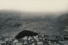 Granit i woda [Dokument ikonograficzny]