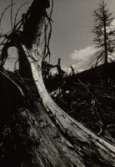 Wiatrołom [Dokument ikonograficzny]