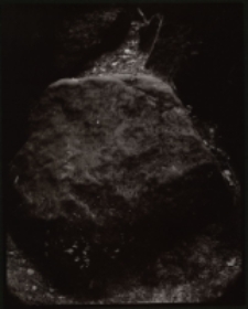 Przebłyski [Dokument ikonograficzny]