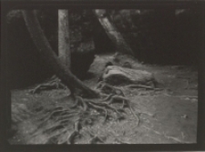 Bez tytułu [Dokument ikonograficzny]