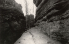 Bez tytułu [Dokument ikonograficzny]