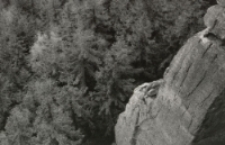 Bez tytułu [Dokument ikonograficzny]