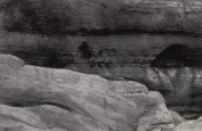 Bez tytułu [Dokument ikonograficzny]