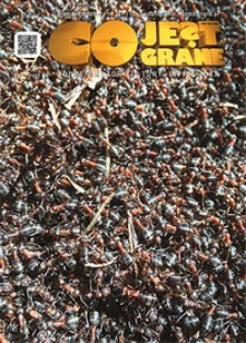 Co Jest Grane : koncentrator kultury, 2017, nr 281 lipiec