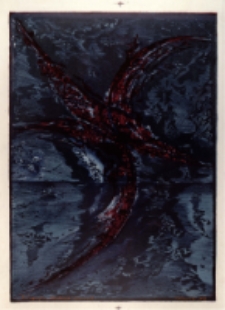 Skrzydło. Wariant S [Dokument ikonograficzny]