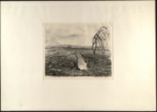 Jesienne nastroje [Dokument ikonograficzny]