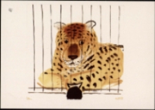 Józef Wilkoń. Wizyta w Zoo - pocztówka [Dokument życia społecznego]