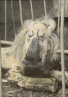 J&oacute;zef Wilkoń. Lew - poczt&oacute;wka [Dokument życia społecznego]