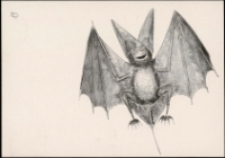 Józef Wilkoń. Nietoperz - pocztówka [Dokument życia społecznego]