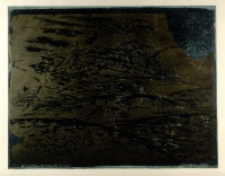 Kompozycja morska [Dokument ikonograficzny]