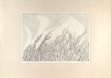 [Wiatr] [Dokument ikonograficzny]