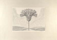 [Rozkwitający] [Dokument ikonograficzny]