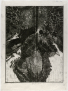 Chirurgia [Dokument ikonograficzny]