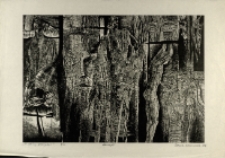 Ci którzy przeżyli [Dokument ikonograficzny]