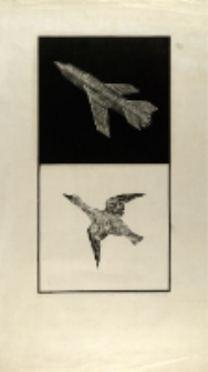 Dwie barwy czasu I [Dokument ikonograficzny]