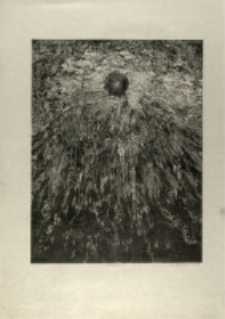 Bez tytułu [Dokument ikonograficzny]