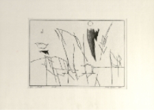 Zenit [Dokument ikonograficzny]