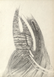 Bez tytułu [Dokument ikonograficzny]