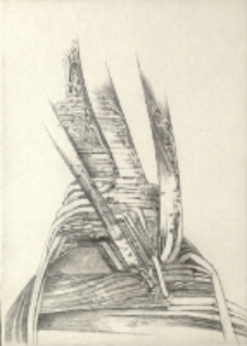 [Trawa II] [Dokument ikonograficzny]