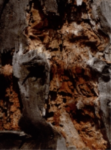 Czasoprzestrzeń [Dokument ikonograficzny]