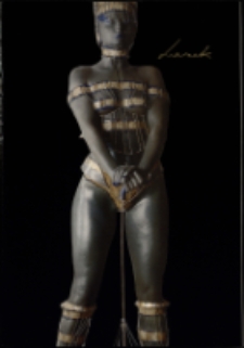 Lasak. Najemnicy - katalog [Dokument życia społecznego]