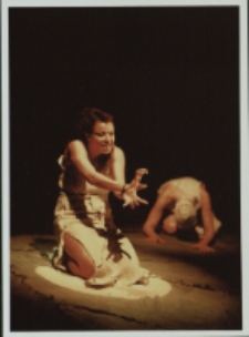 Lilla Weneda (fot. 1) [Dokument ikonograficzny]