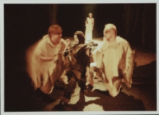 Lilla Weneda (fot. 2) [Dokument ikonograficzny]