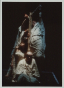 Lilla Weneda (fot. 7) [Dokument ikonograficzny]