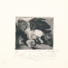 Poszukiwanie Judasza 5 [Dokument ikonograficzny]