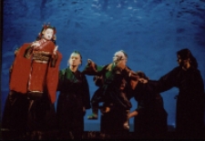 Kr&oacute;lewski wr&oacute;bel (fot. 2) [Dokument ikonograficzny]