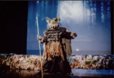 Królewski wróbel (fot. 4) [Dokument ikonograficzny]