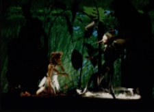 Calineczka (fot. 8) [Dokument ikonograficzny]