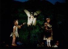 Calineczka (fot. 3) [Dokument ikonograficzny]