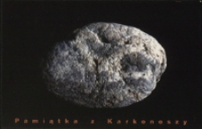 Pamiątka z Karkonoszy - zaproszenie [Dokument życia społecznego]