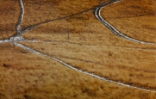 Szlaki [Dokument ikonograficzny]