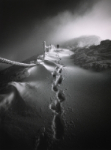 Zimowe formy [Dokument ikonograficzny]