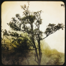 Bez tytułu [Dokument ikonograficzny]