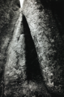 Bez tytułu [Dokument ikonograficzny]