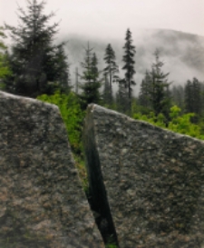 Bez tytułu [Dokument ikonograficzny]