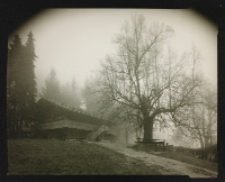 Potok Malina [Dokument ikonograficzny]