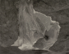 Tatrzańskie stawy [Dokument ikonograficzny]